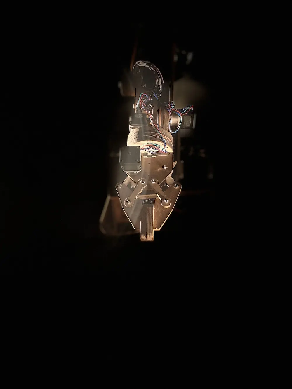 Losing Ground — photograph 12 of 13